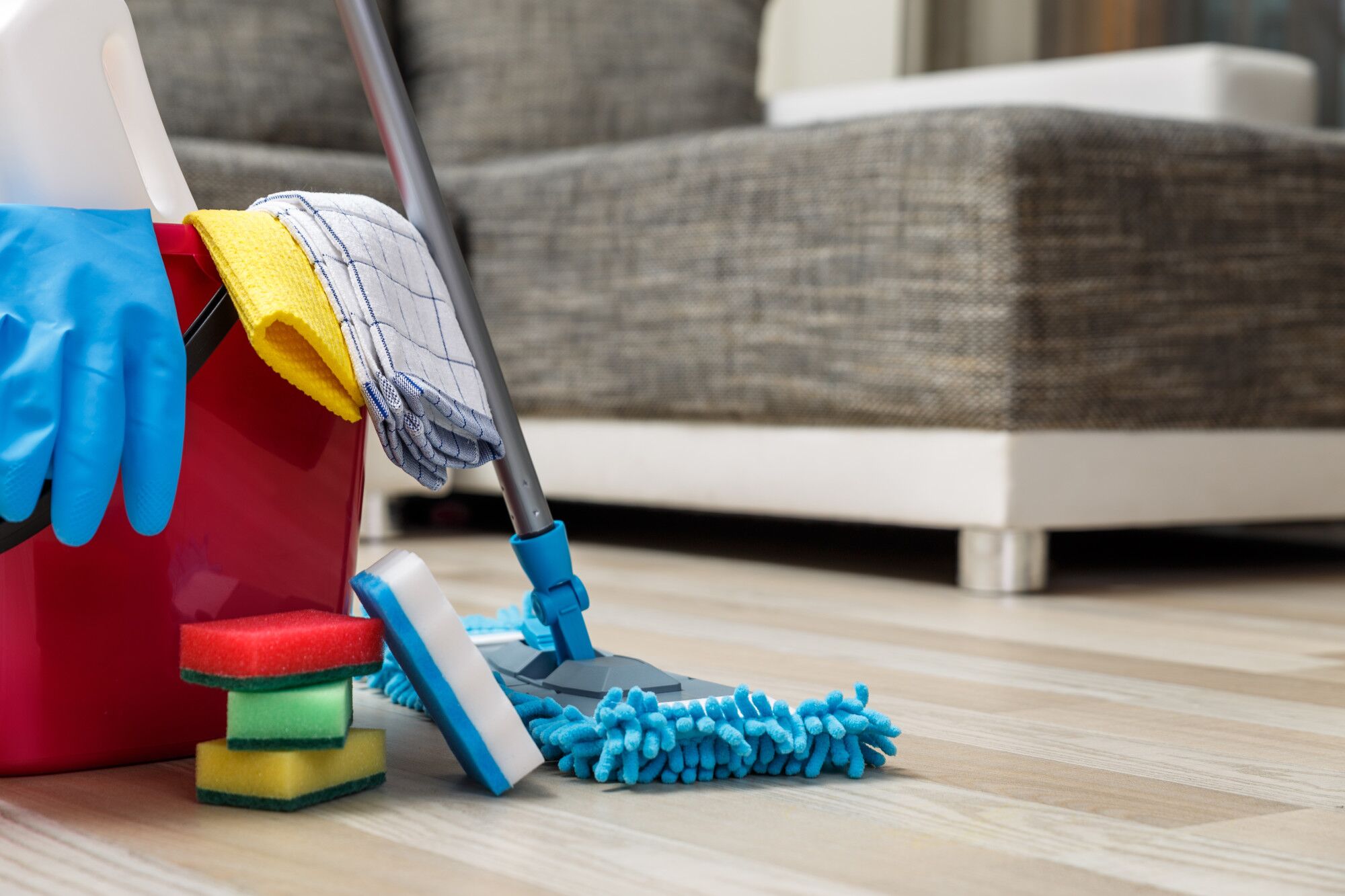 Ganesh Home Cleaning Team